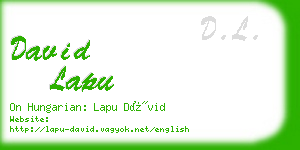 david lapu business card